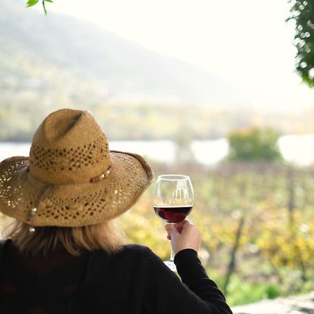 Quinta Das Casas - Douro Winery & Villas Vila Real Ngoại thất bức ảnh