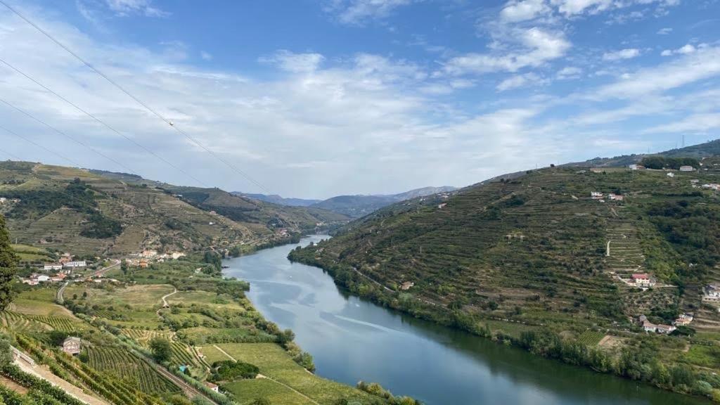 Quinta Das Casas - Douro Winery & Villas Vila Real Ngoại thất bức ảnh