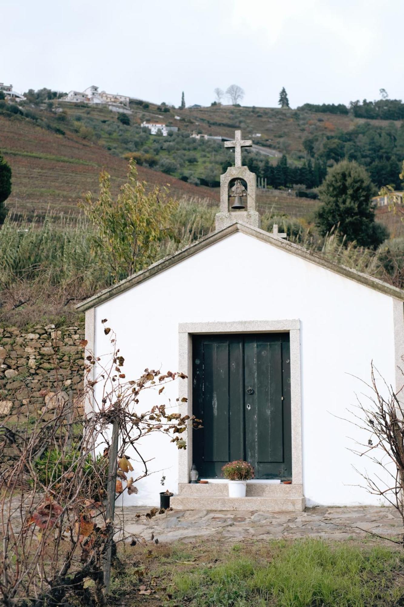 Quinta Das Casas - Douro Winery & Villas Vila Real Ngoại thất bức ảnh
