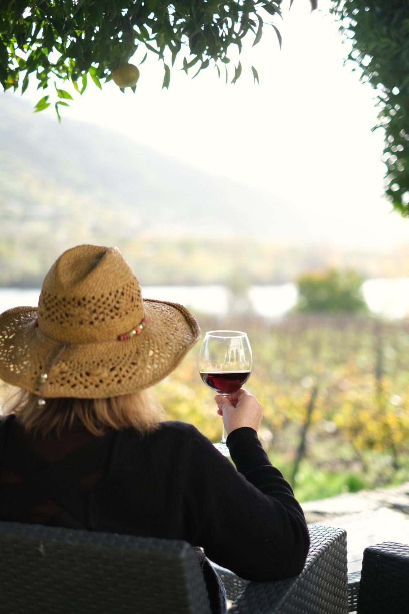 Quinta Das Casas - Douro Winery & Villas Vila Real Ngoại thất bức ảnh