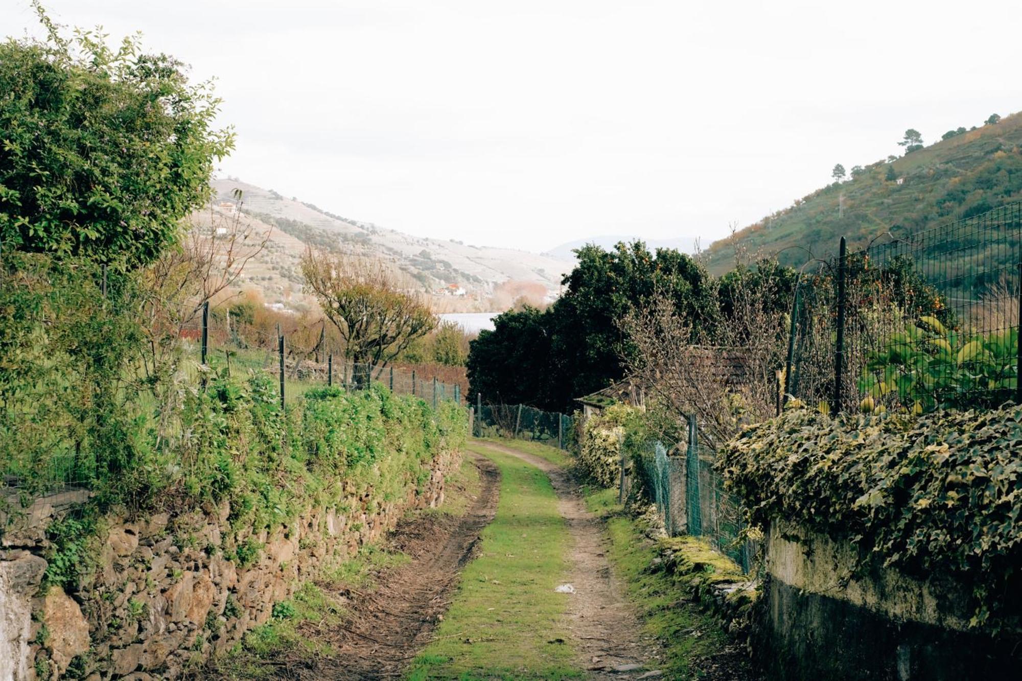 Quinta Das Casas - Douro Winery & Villas Vila Real Ngoại thất bức ảnh